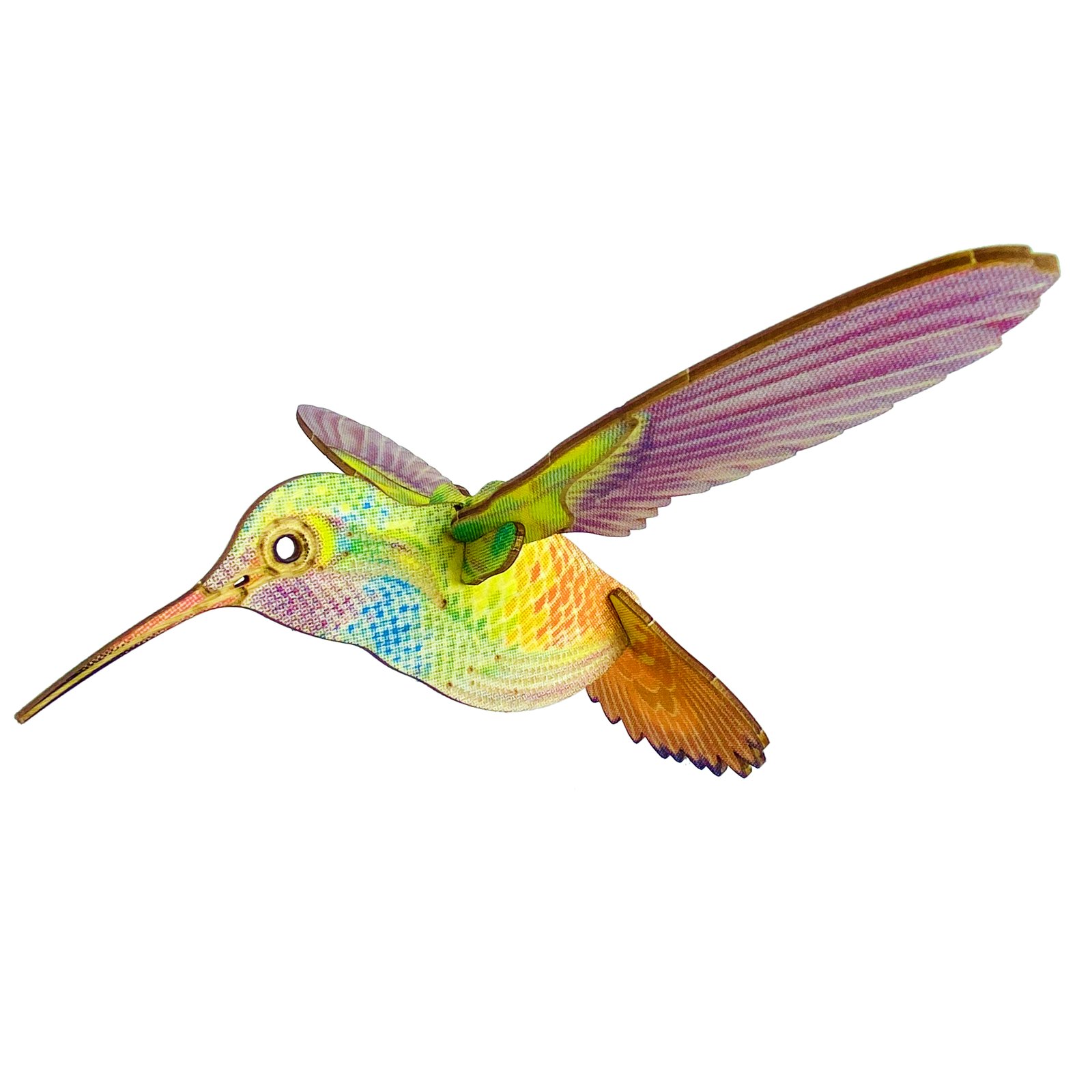 JCR BIRDS : RUFOUS-TAILED HUMMINGBIRD